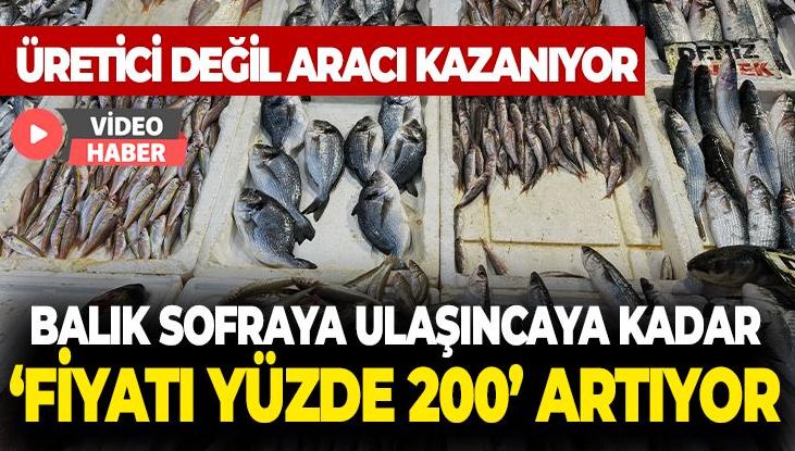 Üretici Değil Aracı Kazanıyor: Balık Sofraya Ulaşıncaya Kadar Fiyatı Yüzde 200 Artıyor