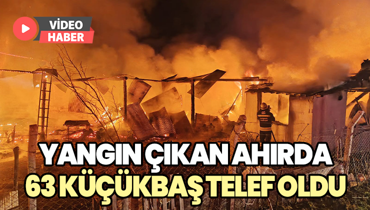 Yangın Çıkan Ahırda Onlarca Küçükbaş Telef Oldu