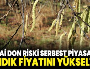 Zirai Don Riski Serbest Piyasada Fındık Fiyatını Yükseltti