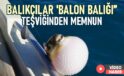 Balıkçılar ‘Balon balığı” teşviğinden memnun