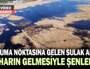 Kuruma noktasına gelen sulak alan, baharın gelmesiyle şenlendi