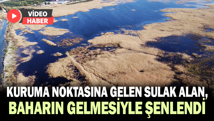 Kuruma noktasına gelen sulak alan, baharın gelmesiyle şenlendi