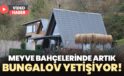 Meyve bahçelerinde artık bungalov yetişiyor!