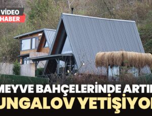 Meyve bahçelerinde artık bungalov yetişiyor!