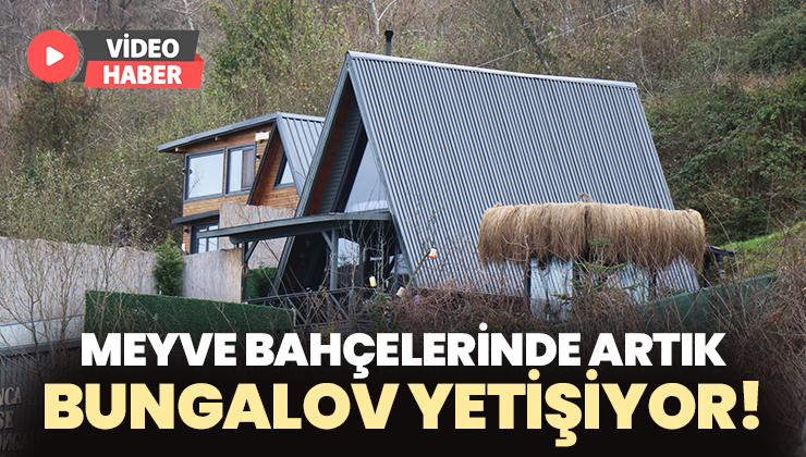 Meyve Bahçelerinde Artık Bungalov Yetişiyor!