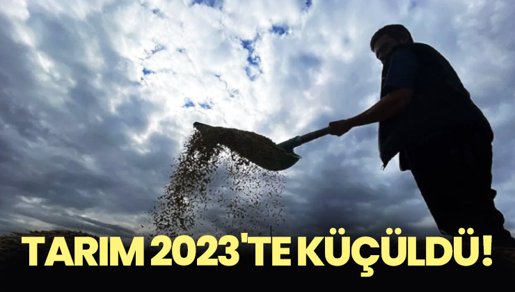 Tarım 2023’Te Yüzde 0,2 Küçüldü