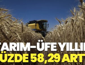 Tarım-ÜFE yıllık yüzde 58,29 arttı