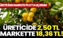 Üreticiden markete fiyatta uçurum: Üreticide 2,50 TL markette 18,36 TL!