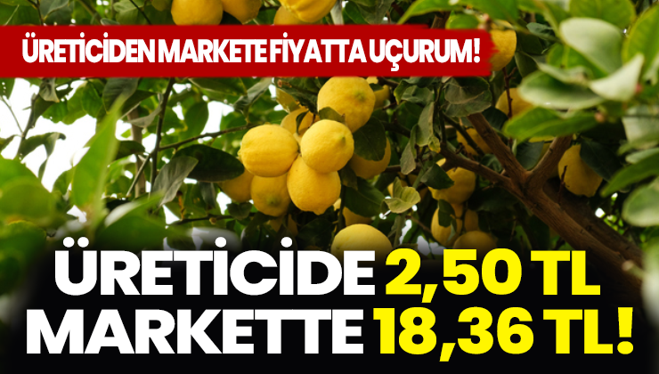 Üreticiden markete fiyatta uçurum: Üreticide 2,50 TL markette 18,36 TL!