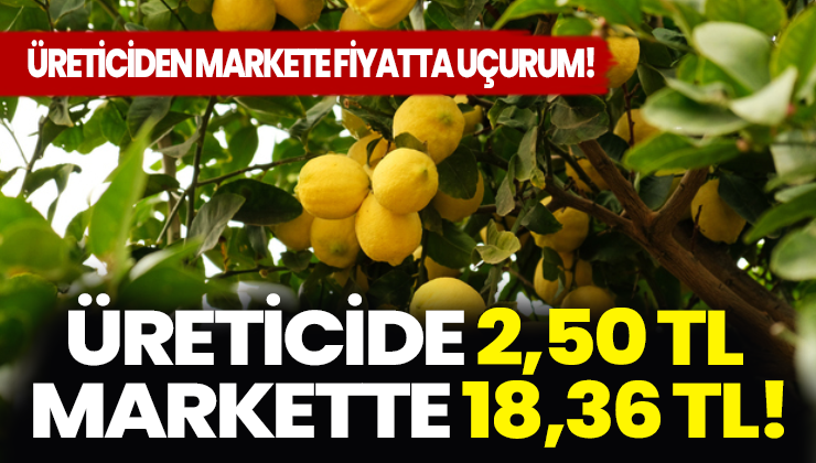 Üreticiden Markete Fiyatta Uçurum: Üreticide 2,50 Tl Markette 18,36 Tl!