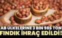 AB ülkelerine 3 bin 986 ton fındık ihraç edildi