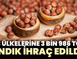 AB ülkelerine 3 bin 986 ton fındık ihraç edildi