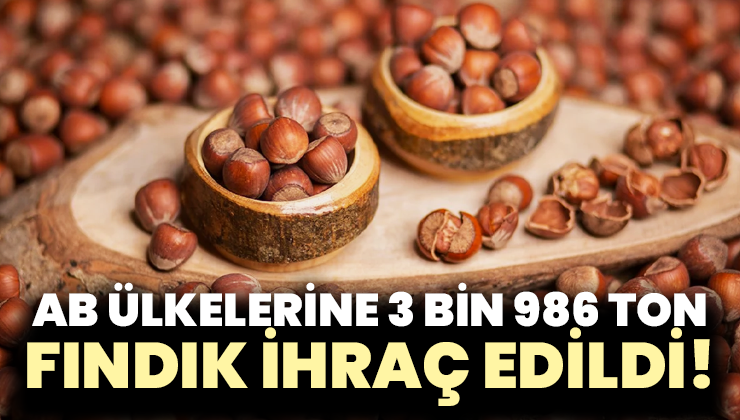 AB ülkelerine 3 bin 986 ton fındık ihraç edildi