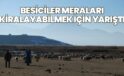 Besiciler meraları kiralayabilmek için yarıştı