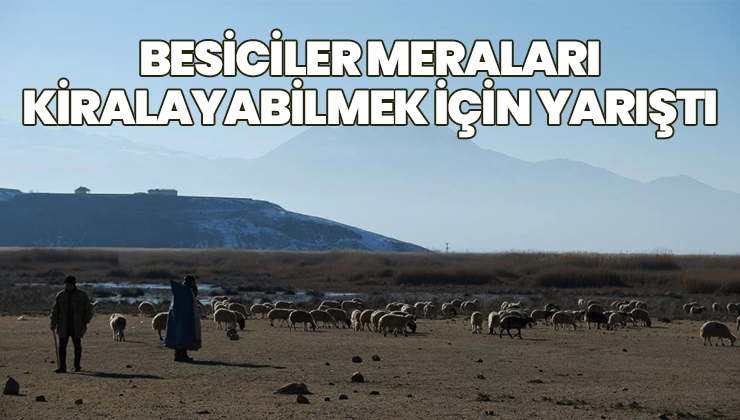 Besiciler Meraları Kiralayabilmek Için Yarıştı