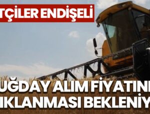 Çiftçiler Endişeli: Buğday Alım Fiyatının Açıklanmasını Bekliyor