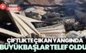 Çiftlikte çıkan yangında 21 büyükbaş hayvan telef oldu