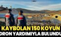 Kayıp koyunlar dron yardımıyla bulundu