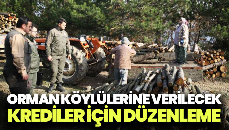 Orman köylülerine verilecek krediler için düzenleme