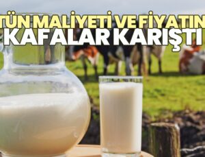 Sütün maliyeti ve fiyatında kafalar karıştı