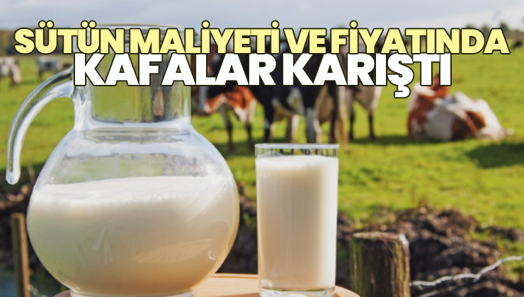 Sütün maliyeti ve fiyatında kafalar karıştı