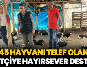 45 hayvanı telef olan çiftçiye hayırsever desteği