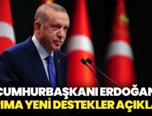 Cumhurbaşkanı Erdoğan tarıma yeni destekler açıkladı