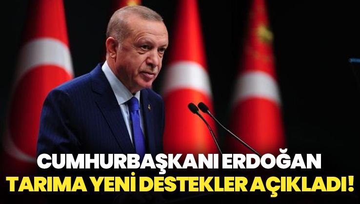 Cumhurbaşkanı Erdoğan tarıma yeni destekler açıkladı