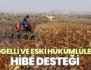 Engelli Ve Eski Hükümlülere Hibe Desteği