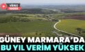 Güney Marmara’da bu yıl tarımda verim yüksek