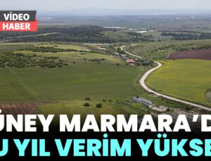 Güney Marmara’da Bu Yıl Tarımda Verim Yüksek