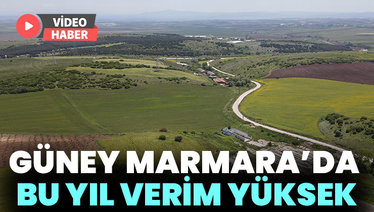 Güney Marmara’da bu yıl tarımda verim yüksek