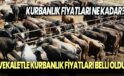 Kurbanlık fiyatları ne kadar? Vekaletle kurbanlık fiyatları belli oldu