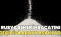 Rusya şeker ihracatını yasakladı