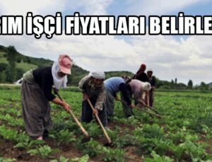 Tarım işçi fiyatları belirlendi