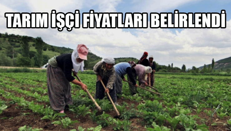 Tarım işçi fiyatları belirlendi