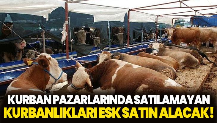 Kurban pazarlarında satılamayan kurbanlıklar ESK tarafından satın alınacak