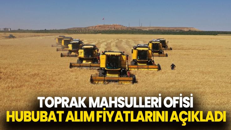 Tmo Hububat Alım Fiyatlarını Açıkladı