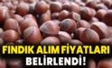 TMO’nun 2024/2025 Sezonu Kabuklu Fındık Alım Fiyatları Belirlendi