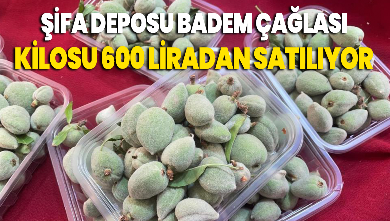 Şifa deposu badem çağlası, kilosu 600 liradan satılıyor