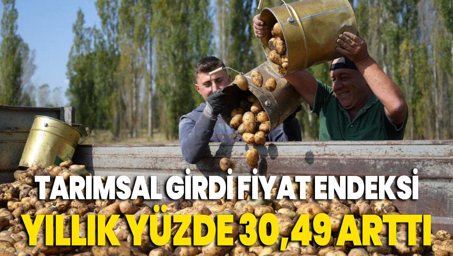 Tarımsal girdi fiyat endeksi yıllık yüzde 30,49 arttı