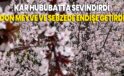 Kar hububatta sevindirdi, don meyve ve sebzede endişe getirdi