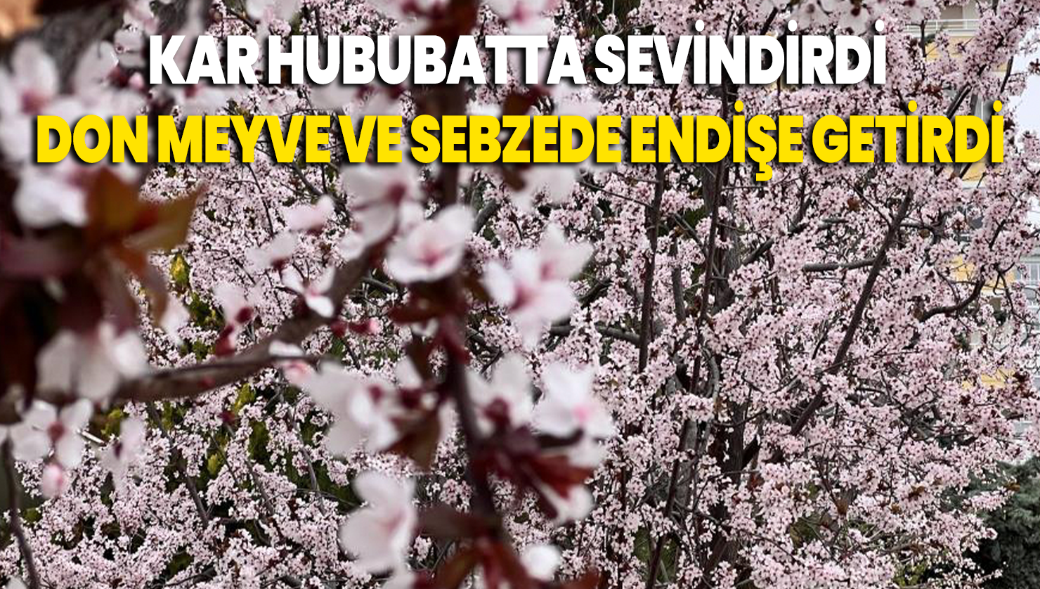 Kar hububatta sevindirdi, don meyve ve sebzede endişe getirdi
