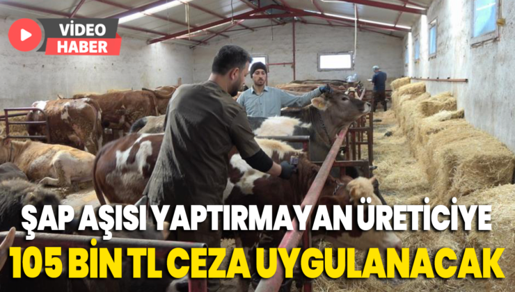Şap Aşısı Yaptırmayan Üreticiye 105 Bin Tl Ceza Uygulanacak