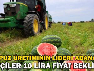 Karpuz Üretiminin Lideri Adana’Da Çiftçiler 10 Lira Fiyat Bekliyor