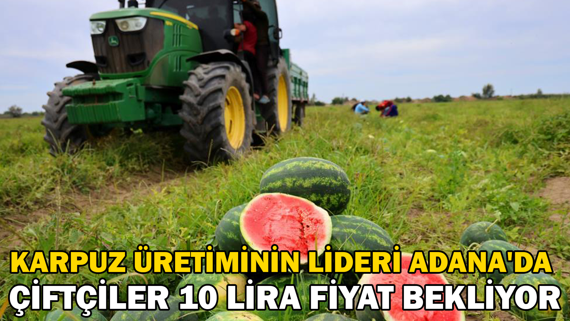 Karpuz üretiminin lideri Adana’da çiftçiler 10 lira fiyat bekliyor