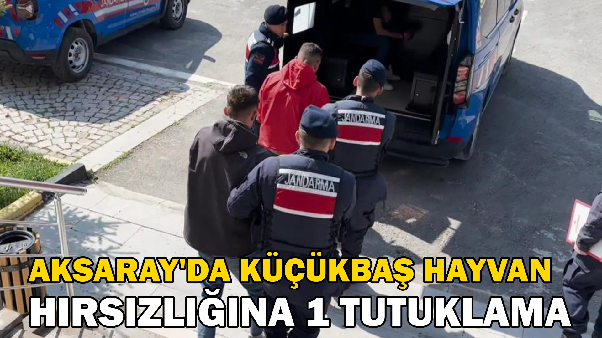 Aksaray’da küçükbaş hayvan hırsızlığına 1 tutuklama