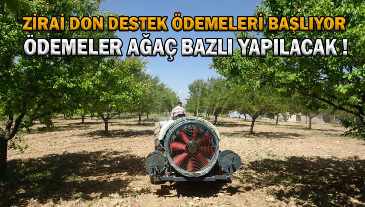 Zirai Don Destek Ödemeleri Başlıyor !