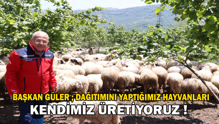 Başkan Güler: “Dağıtımını Yaptığımız Hayvanları Kendimiz Yetiştiriyoruz”