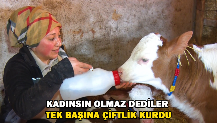 Kadınsın Yapamazsın Dediler, Çiftlik Kurdu
